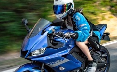 办公室撕开奶罩揉吮奶头漫画